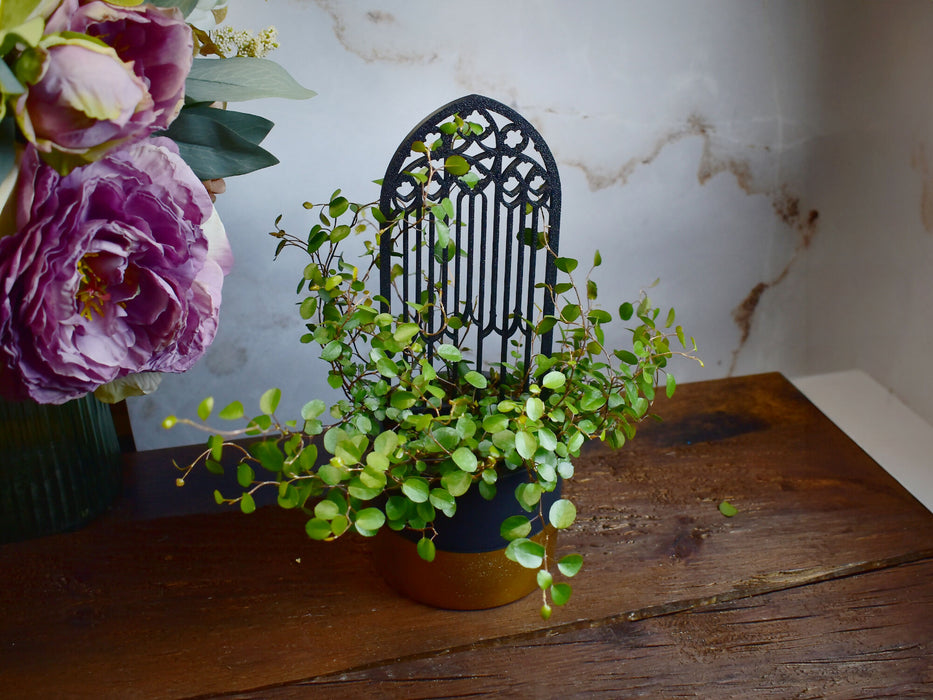 gothic_trellis_5-2