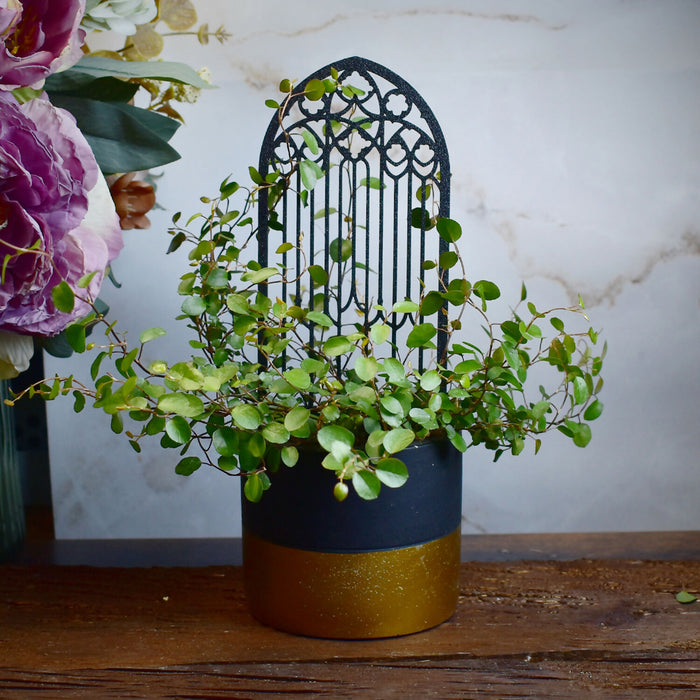 gothic_trellis_5-0