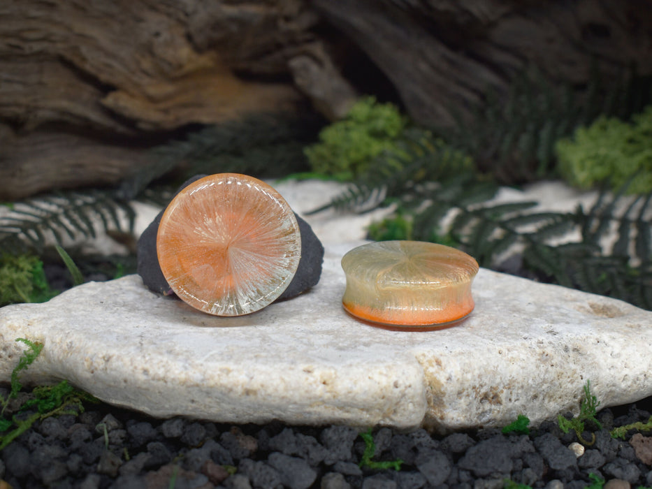 Ear Tunnels 34mm | Pair | Ear Plugs | Gauge Earrings | Gauged Plugs | Resin #192