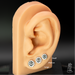 bike on cog on ear sizes