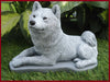 shiba1
