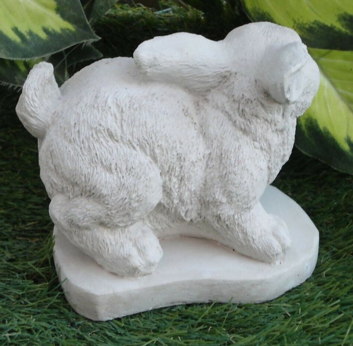 bunny3