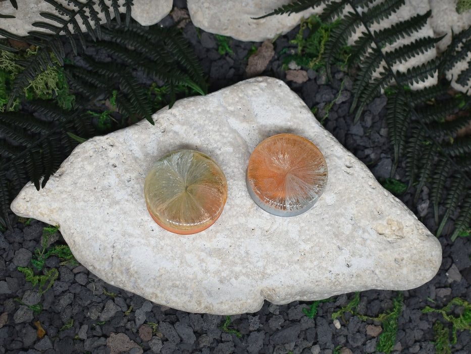 Ear Tunnels 34mm | Pair | Ear Plugs | Gauge Earrings | Gauged Plugs | Resin #192