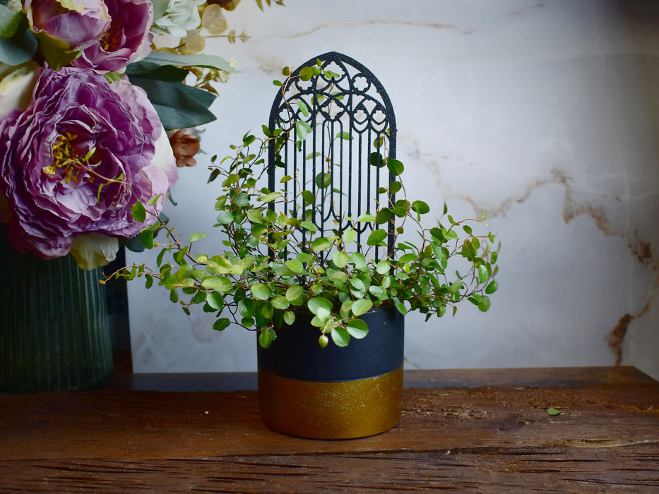 gothic_trellis_5-1