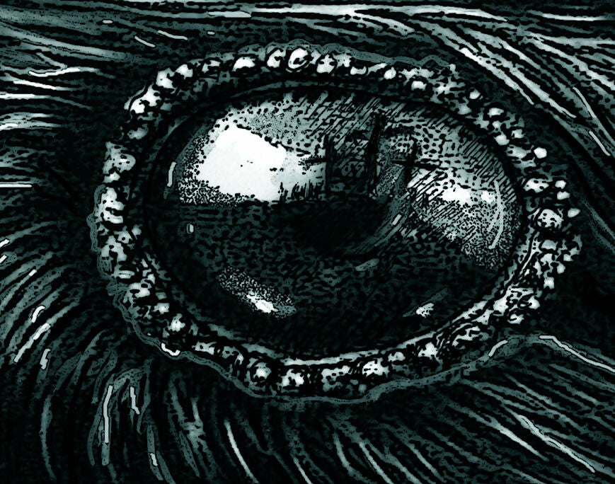 the meeting eye blue