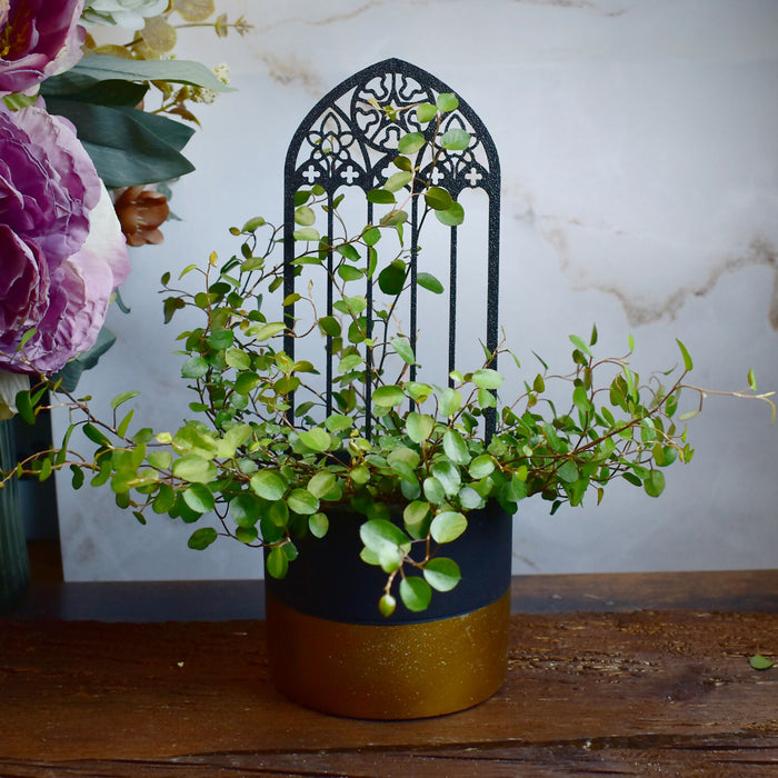 gothic_trellis_2-0