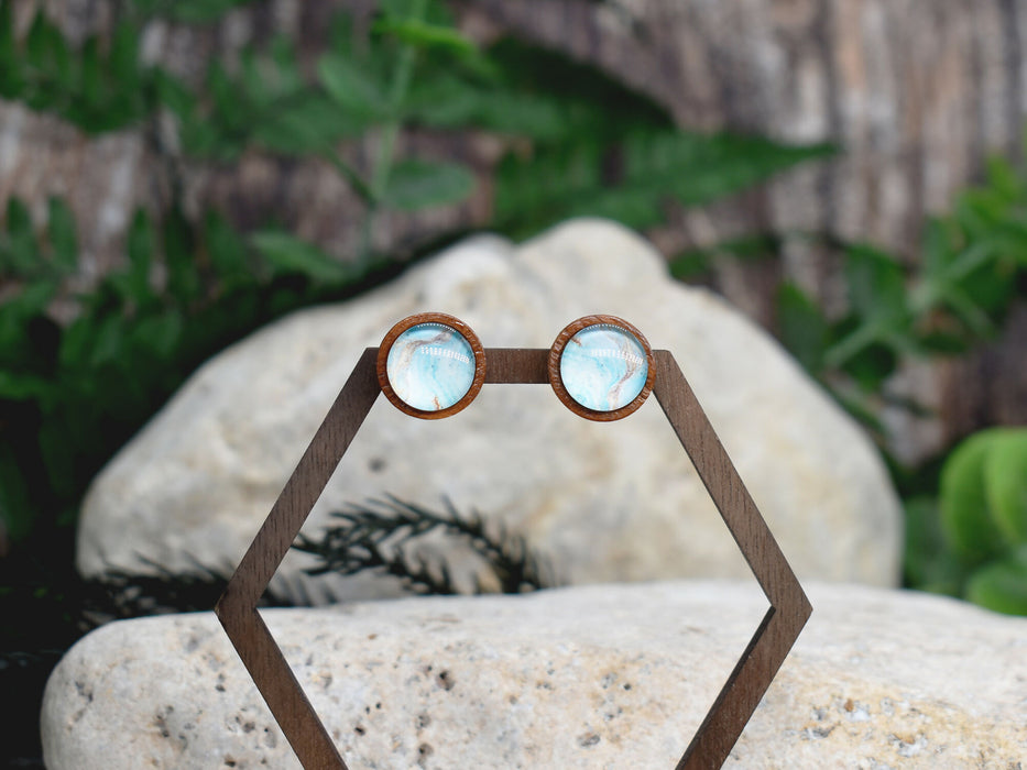 Wood Stud Earrings With Resin Cabochon #382