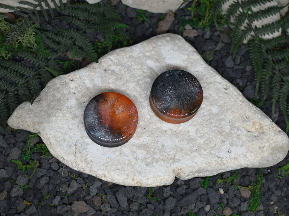 Ear Tunnels 34mm | Pair | Ear Plugs | Gauge Earrings | Gauged Plugs | Resin #103