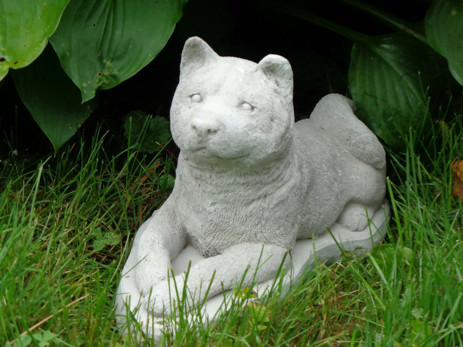 Akita