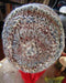 bobbleneutralback