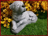 mastiff3