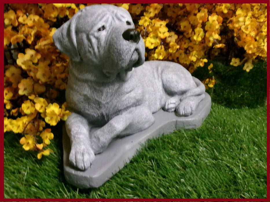 mastiff3