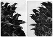 inquis jury copy