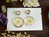 CHARM0009-2