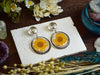 CHARM0002-3