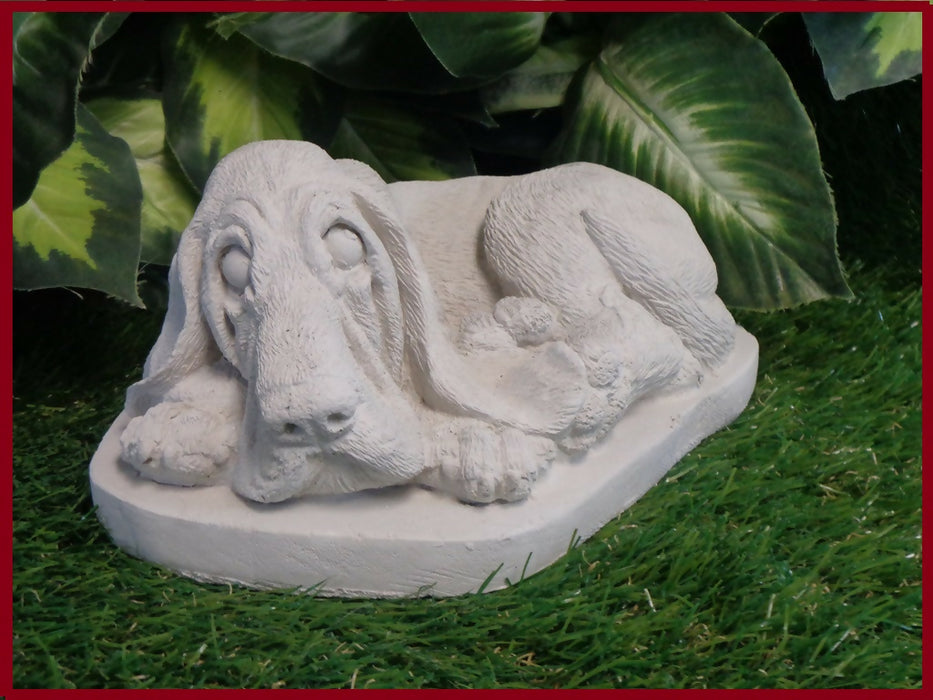 laybloodhound1