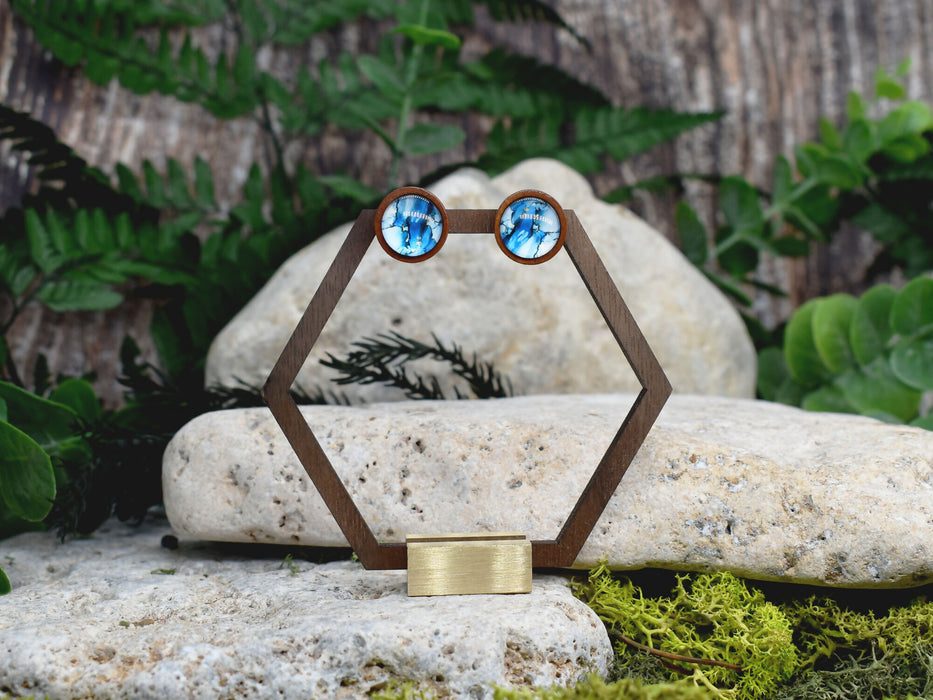 Wood Stud Earrings With Resin Cabochon #365