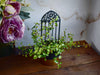 gothic_trellis_2-2