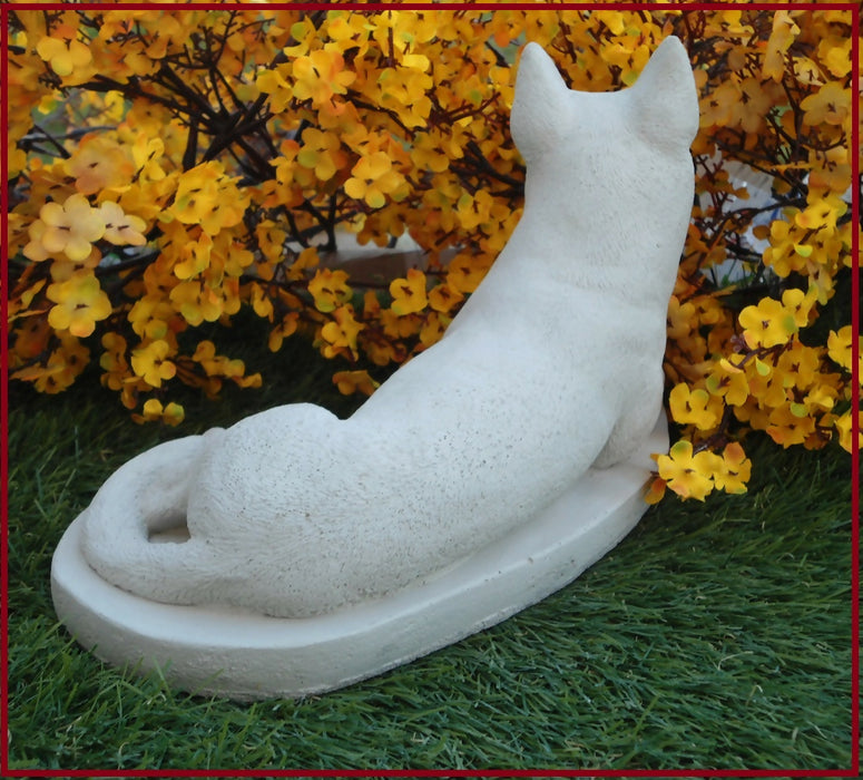 bull terrier 5