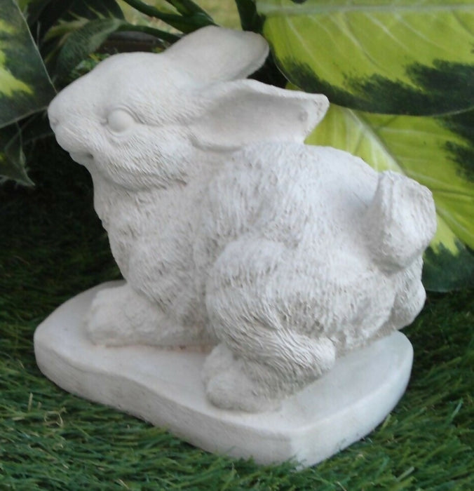 bunny4