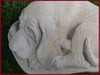 laybloodhound5