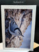 Nuthatch Notecard 6 SM