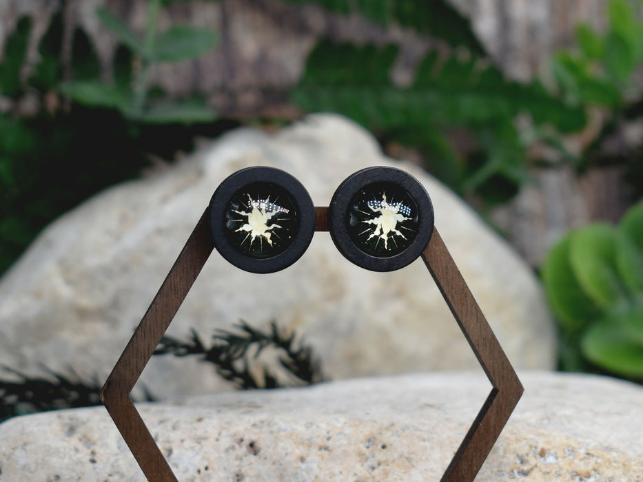 Wood Stud Earrings With Glass Cabochon #218
