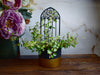 gothic_trellis_2-1