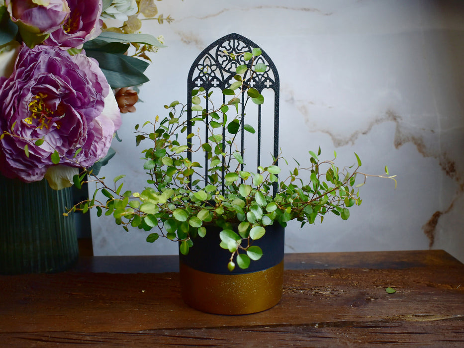 gothic_trellis_2-1