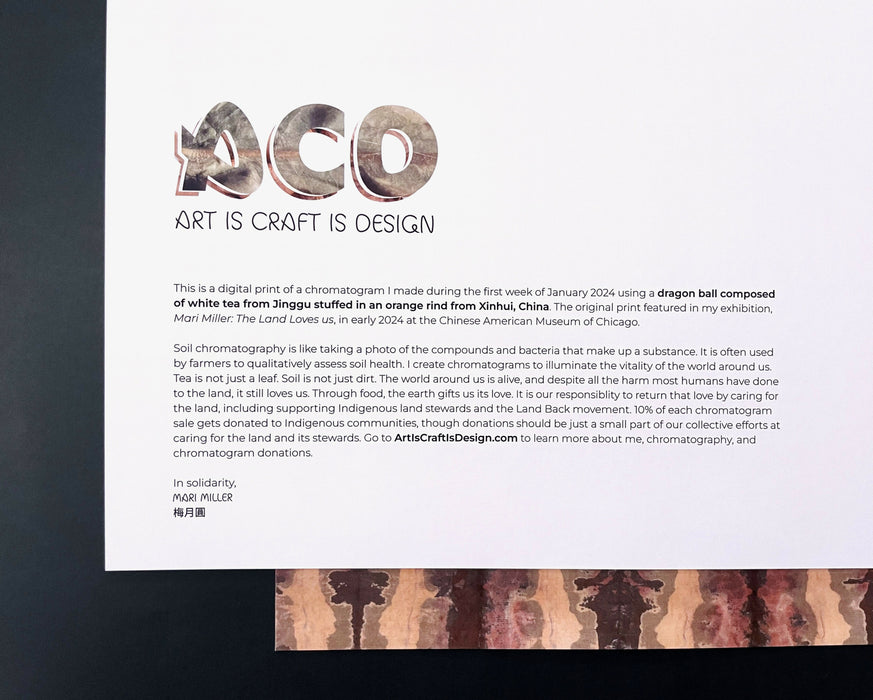 back of the white dragonball print with text that is an abridged version of the text in this listing, explaining what chromatography, is, what this print was made with, and how 10% of each sale will be donated to Indigenous communities