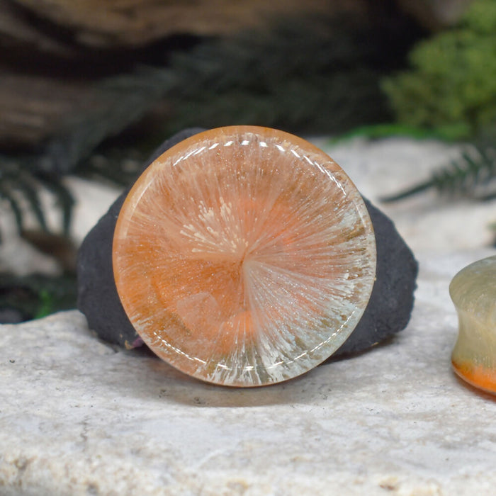 Ear Tunnels 34mm | Pair | Ear Plugs | Gauge Earrings | Gauged Plugs | Resin #192