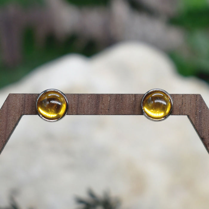 Elegant Stud Earrings With Resin Cabochon #155