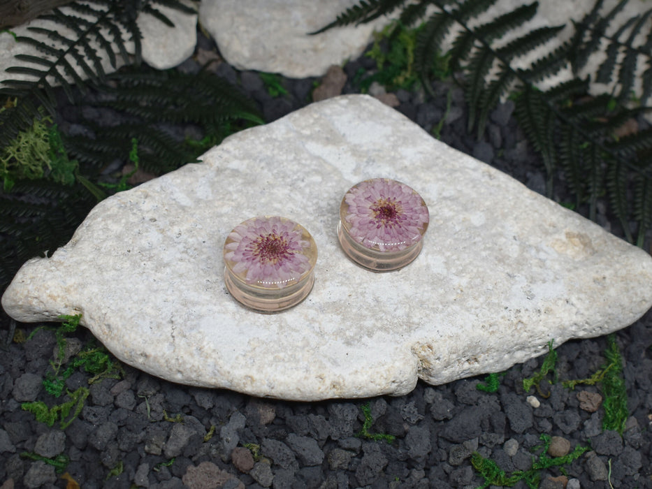 Ear Tunnels 24mm | Pair | Ear Plugs | Gauge Earrings | Gauged Plugs | Resin #193