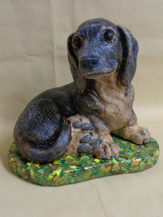 Doxie