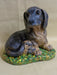 Doxie