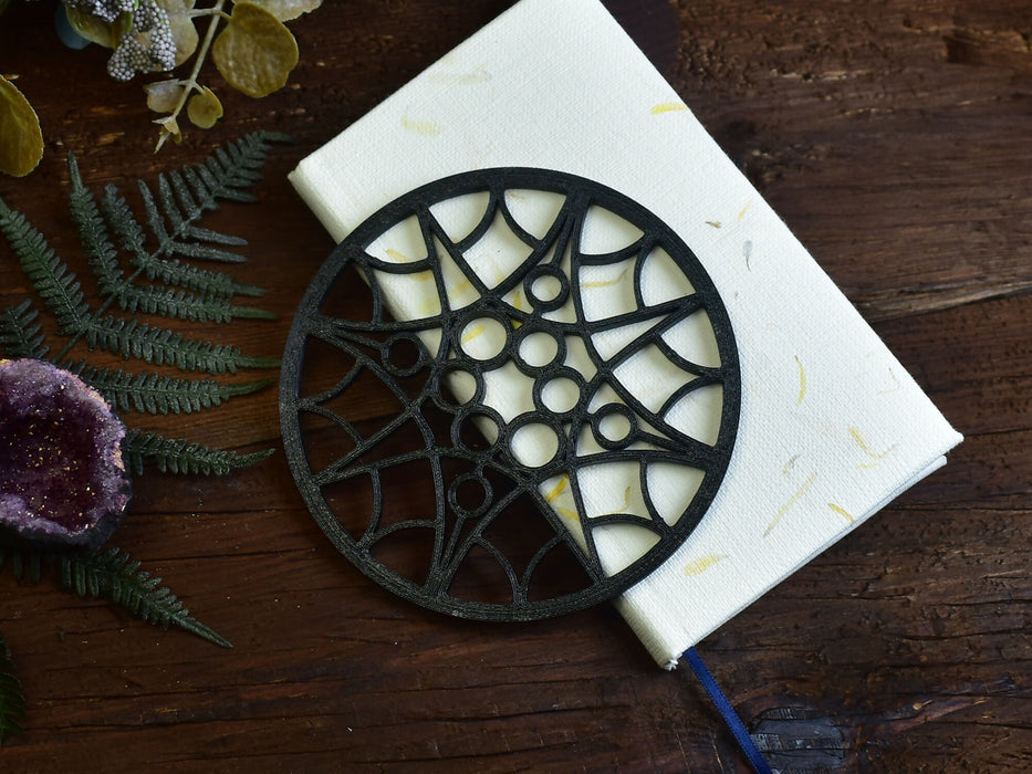 coaster_2_1