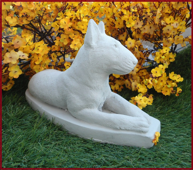 bull terrier 4