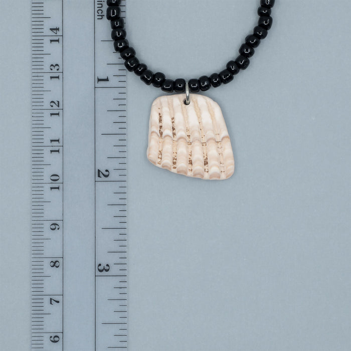 Seashell Necklace