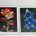 pntbrsh n blbnt boxed sets sq
