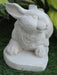 bunny2