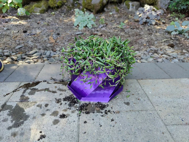Twisted Elegance: The Hanging Planter with integrated drainage
