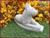bull terrier 6