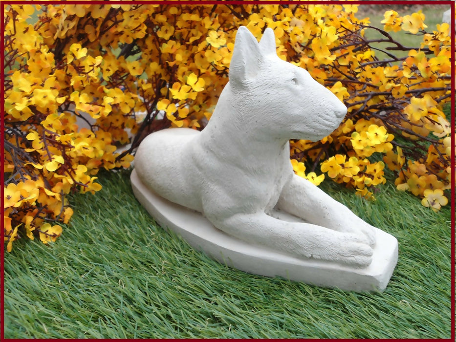 bull terrier 6