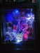 Ultimate Dark Crystal
