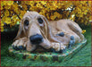 laybloodhound6