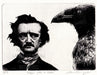 edgar copy