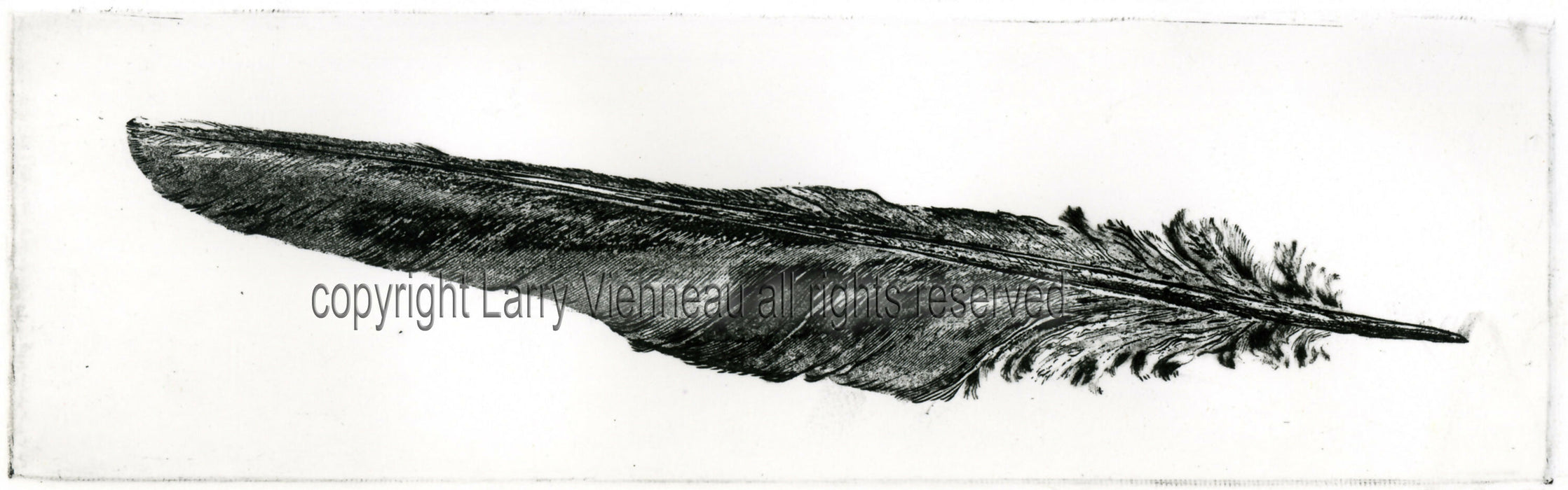 ravenfesther watermark