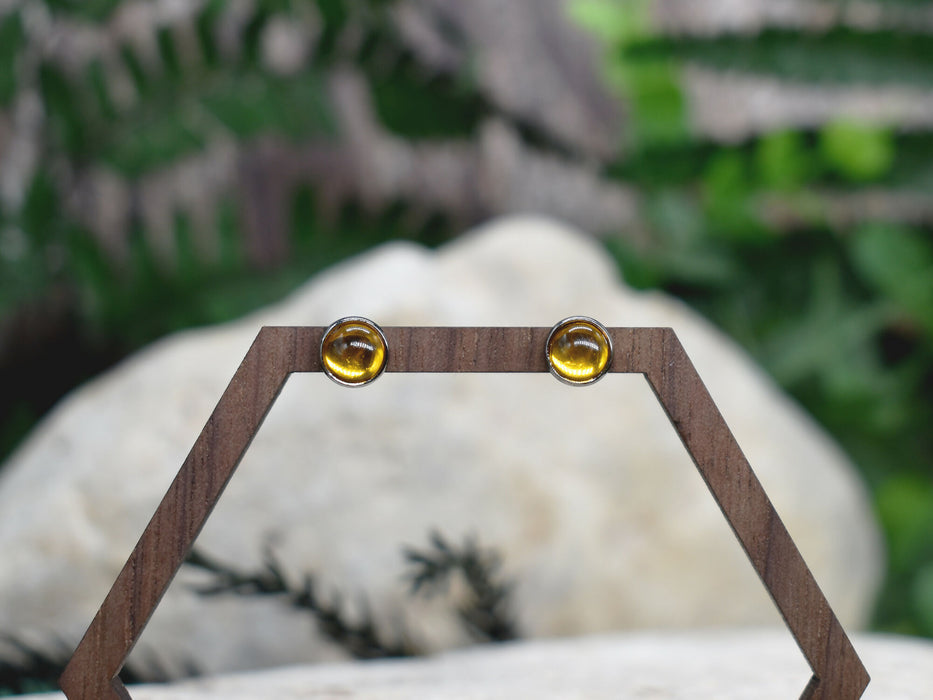 Elegant Stud Earrings With Resin Cabochon #155