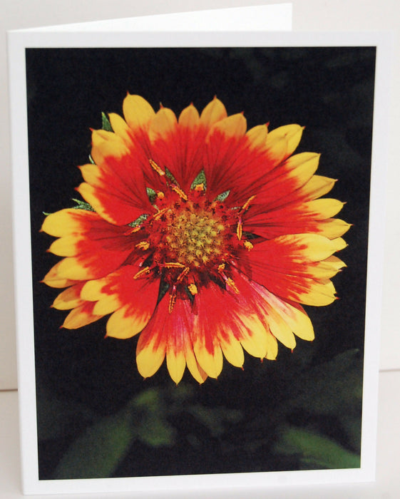 firewheel