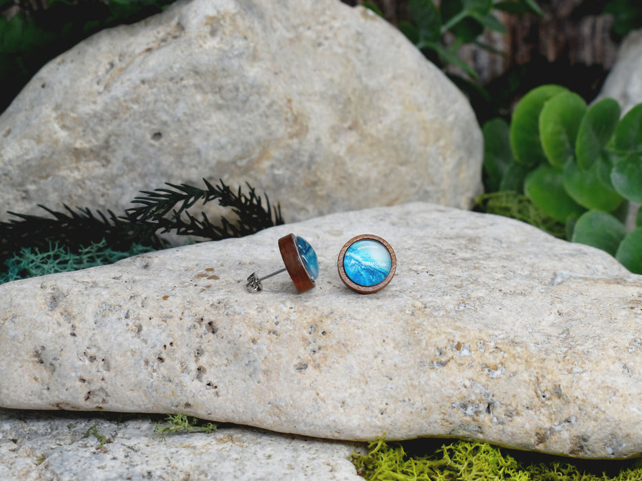 Wood Stud Earrings With Resin Cabochon #375